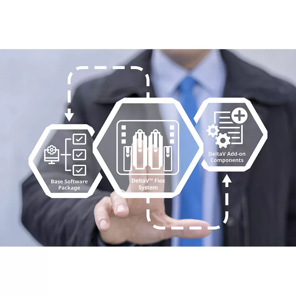 DeltaV Flex システム