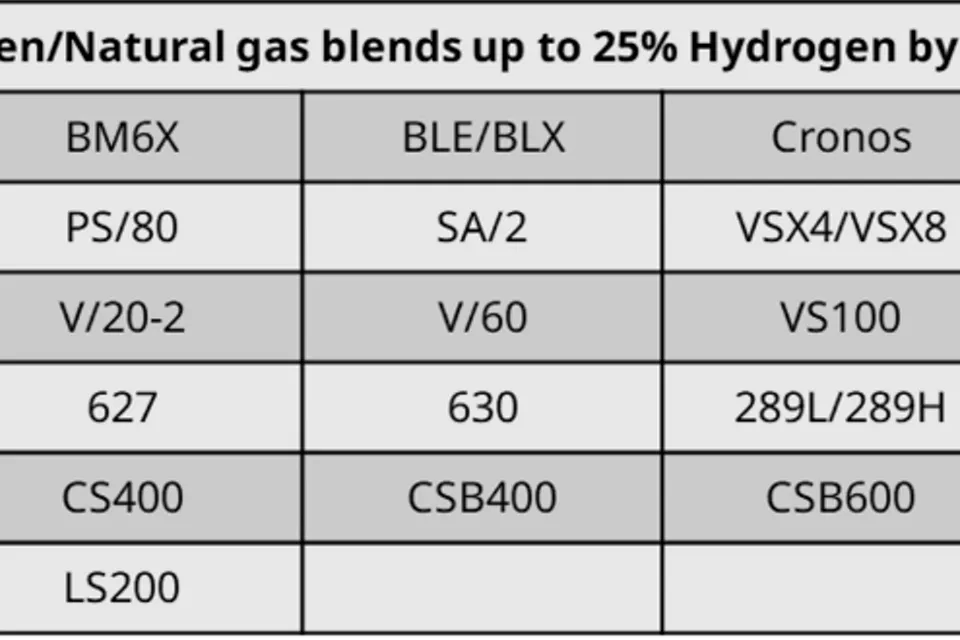 エマソンの技術リソースを活用してお客様のサステナビリティを支援