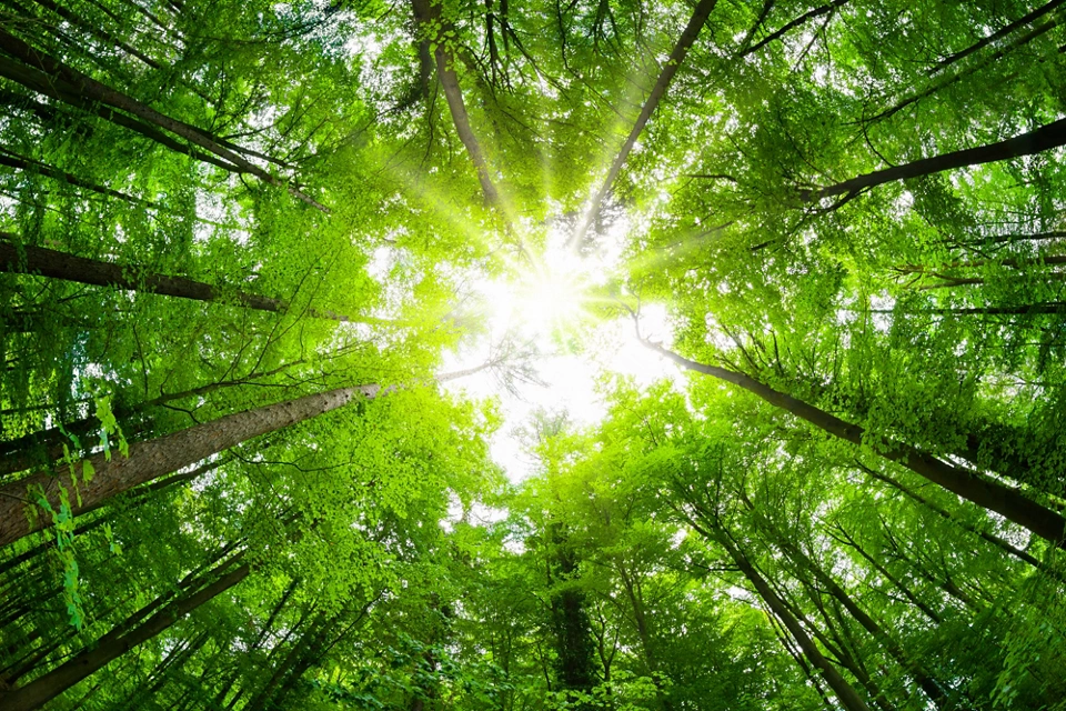 タイルタイトル Lorem Ipsum Dolor Sit