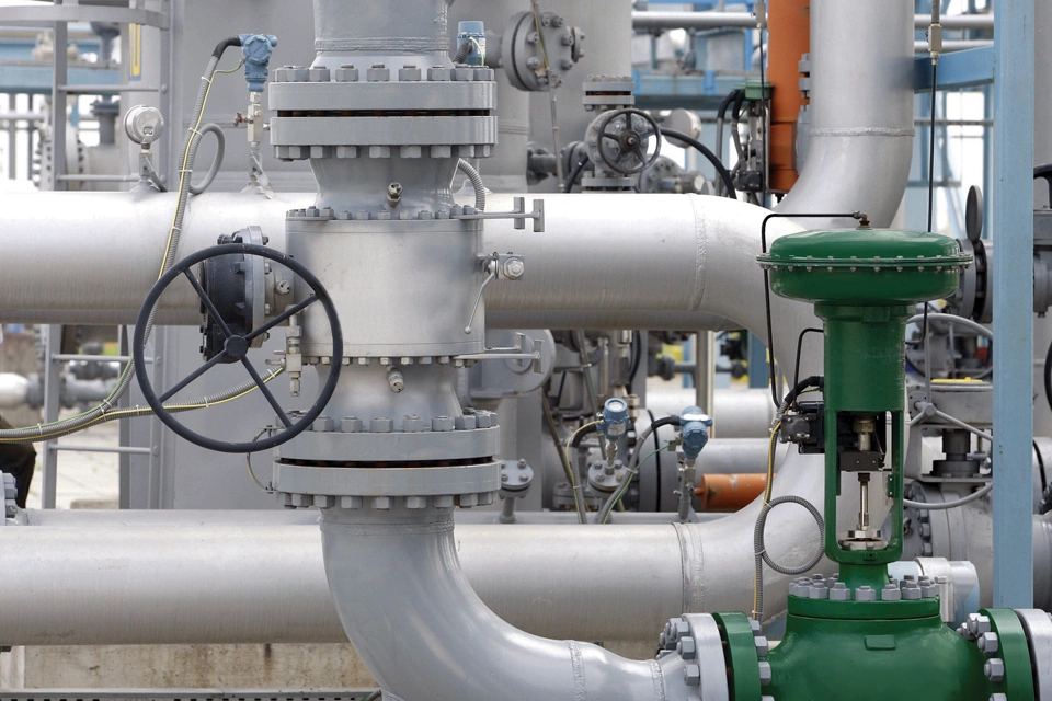 カタログ: Fisher easy-e グローブバルブ