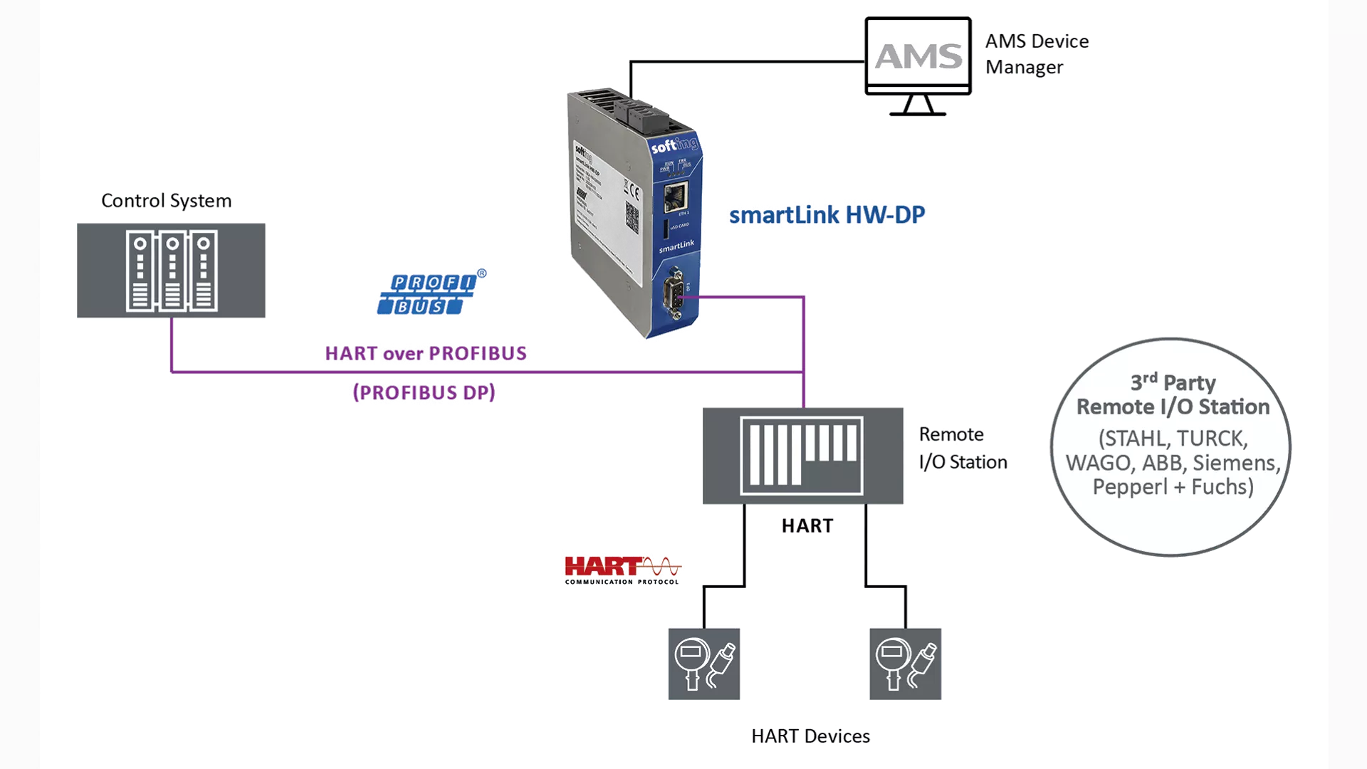 Online, continuous, hardware connectivity for AMS Device Manager and devices on PROFIBUS DP network