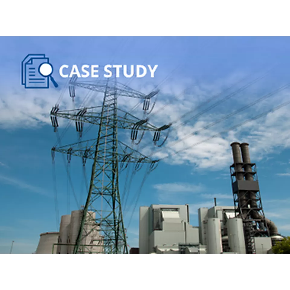 発電所による Fisher OEM 部品を使用したバルブノイズ問題の解決、および施設の安全性向上