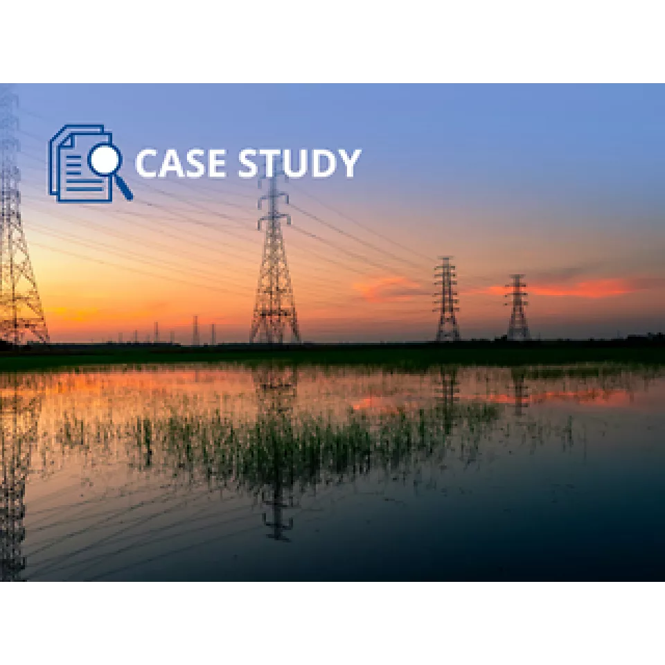 Fisher HP バルブにより、発電所の保守費用を削減し、メンテナンス期間を延長