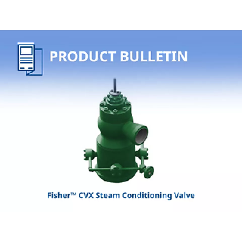 Fisher™ CVX 蒸気変換弁