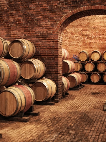 Measurement Instrumentation for Winemaking - Winemaking Process