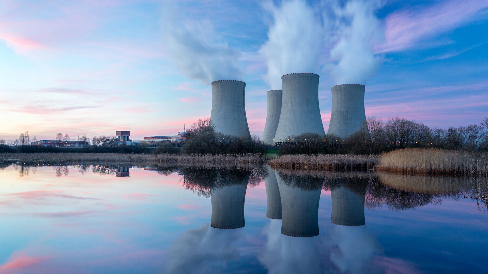 Combustion Analysis in Coal-Fired Power Plants