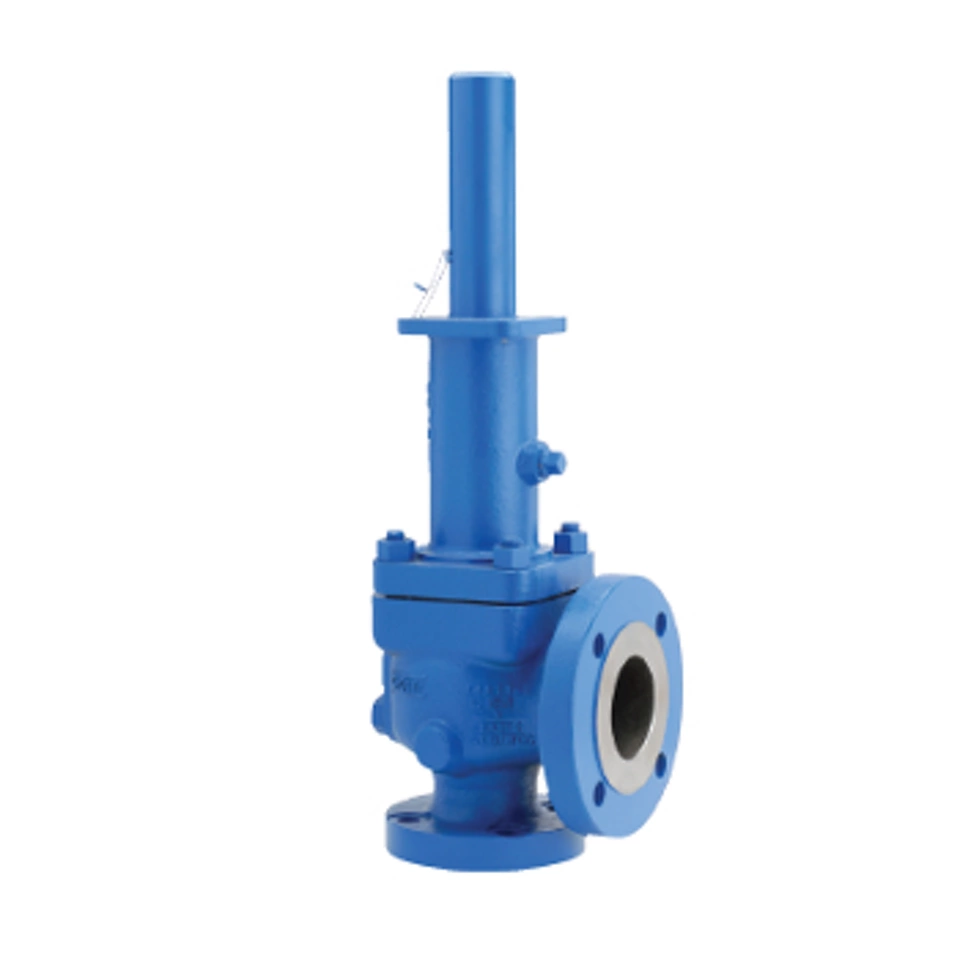 Crosby™ J シリーズ直動型スプリング圧力リリーフバルブ