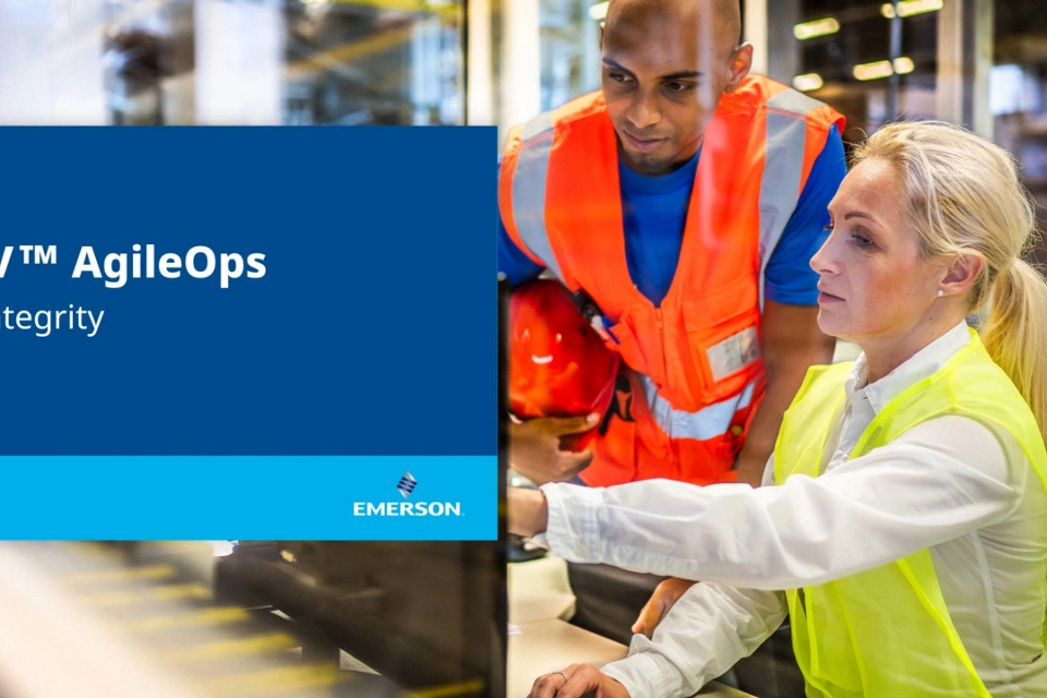 DeltaV AgileOps 安全完全性