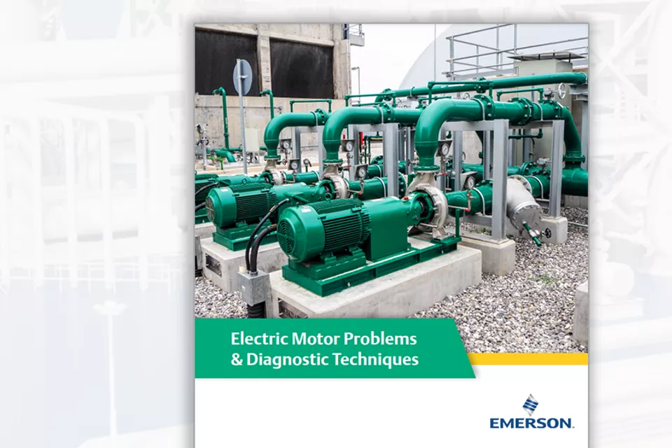 電動モータの問題 &amp; 診断技術