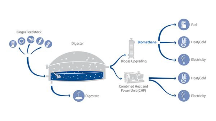 Biomethane Gas Quality Analysis for Grid Injection Using Gas Chromatographs