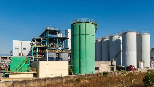 Flow Measurement for Bean and Seed Heating in Edible Oil Production