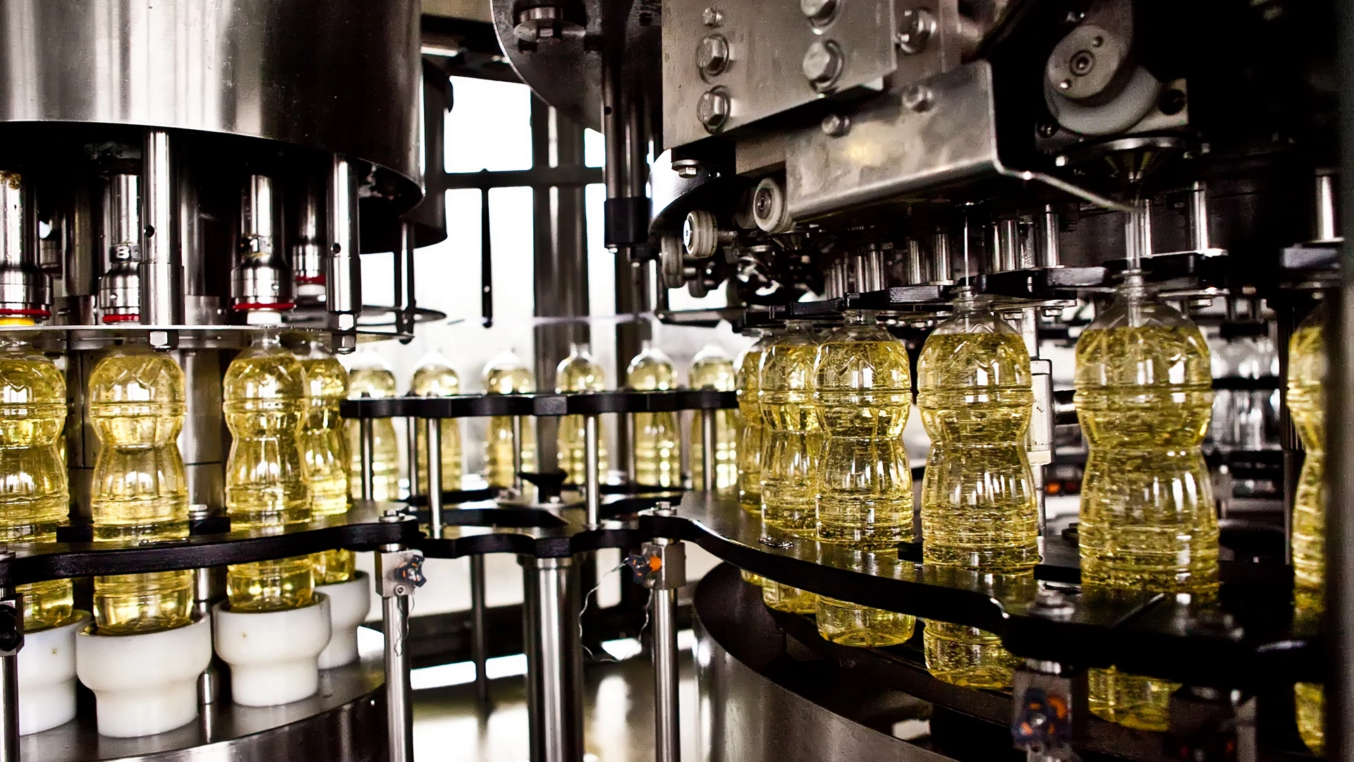 Sunflower oil in the bottle moving on production line. Shallow dof.