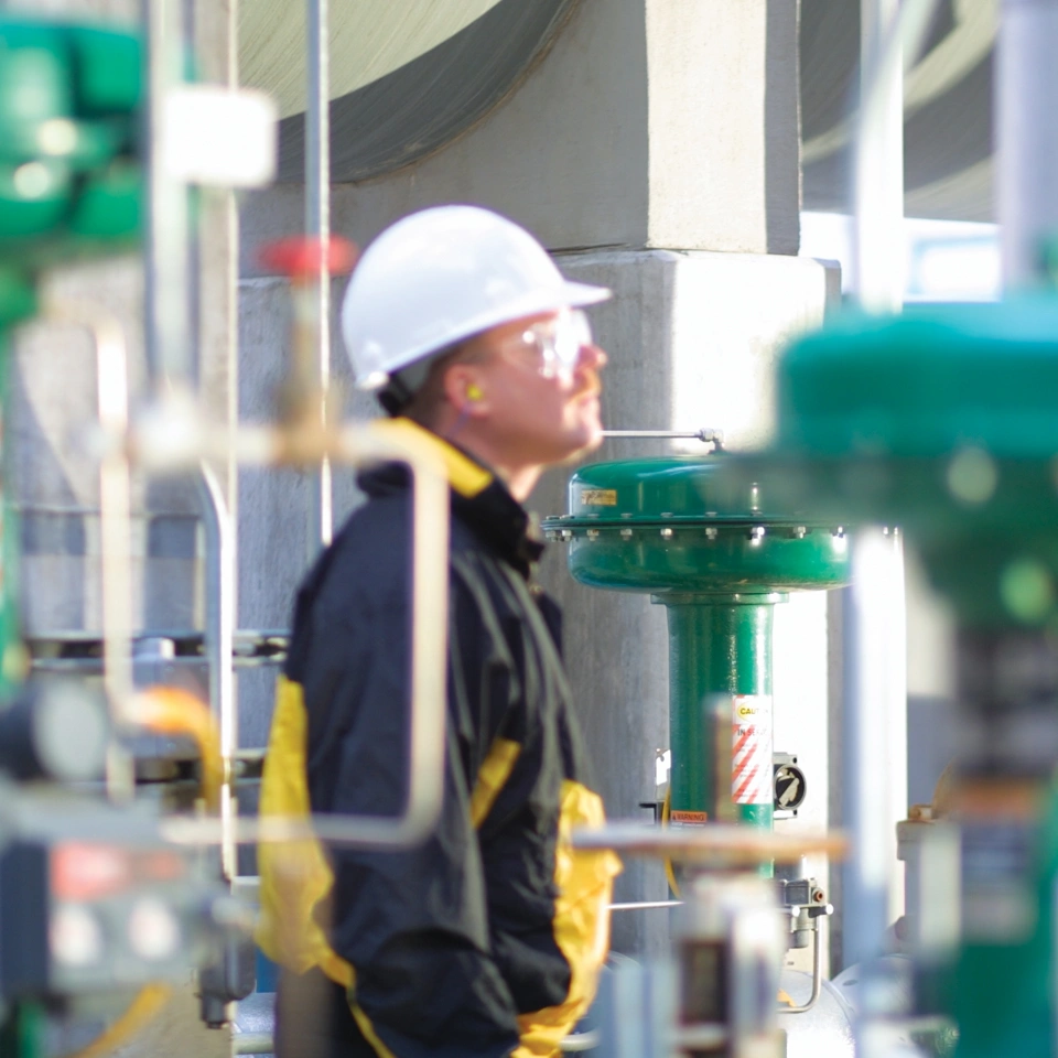 ライフサイクル戦略