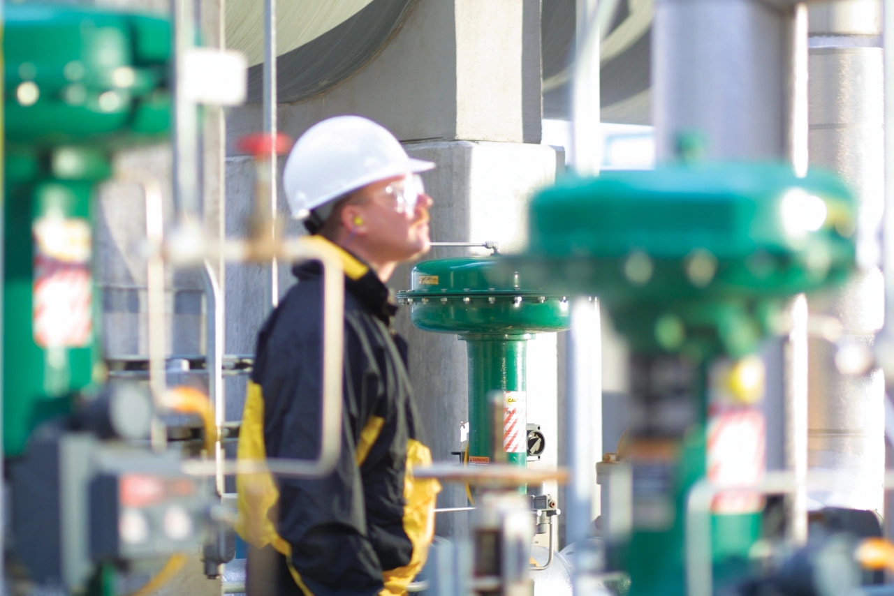 ライフサイクル戦略