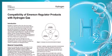 Hydrogen is expected to play a key role as an energy carrier in the coming years as the world migrates towards a low-carbon economy.