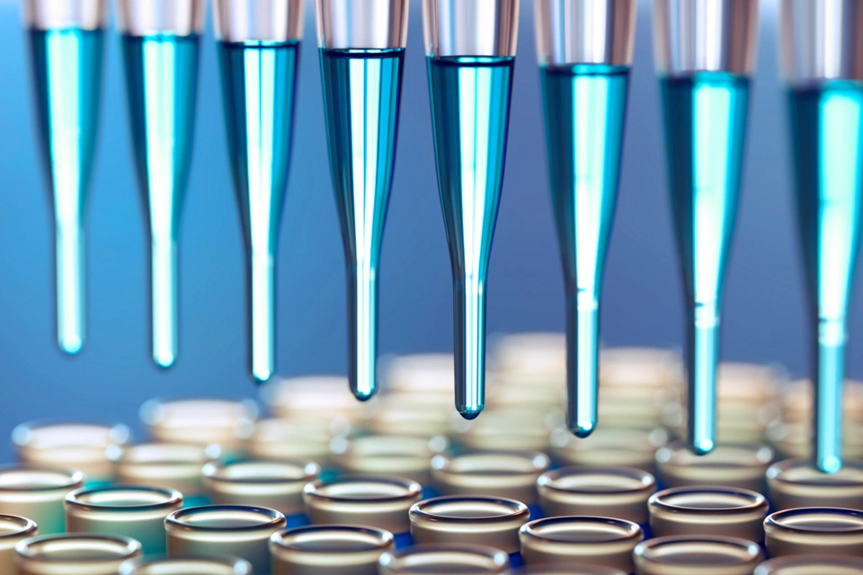 より小さいバッチ市場をナビゲートする