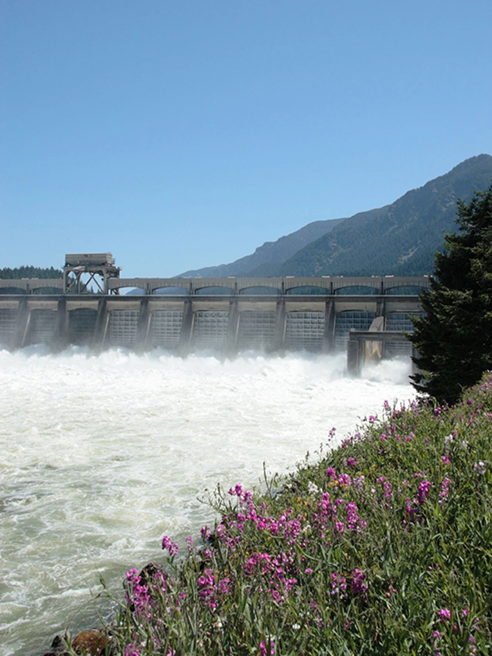 Hydroelectric Plant Control Solutions