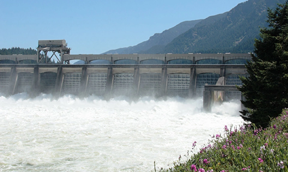 Hydroelectric Plant Control Solutions