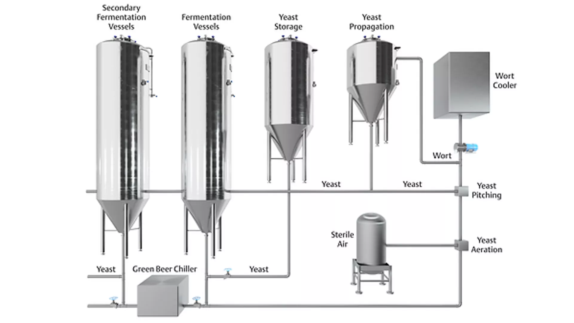 Level Measurement in Fermentation