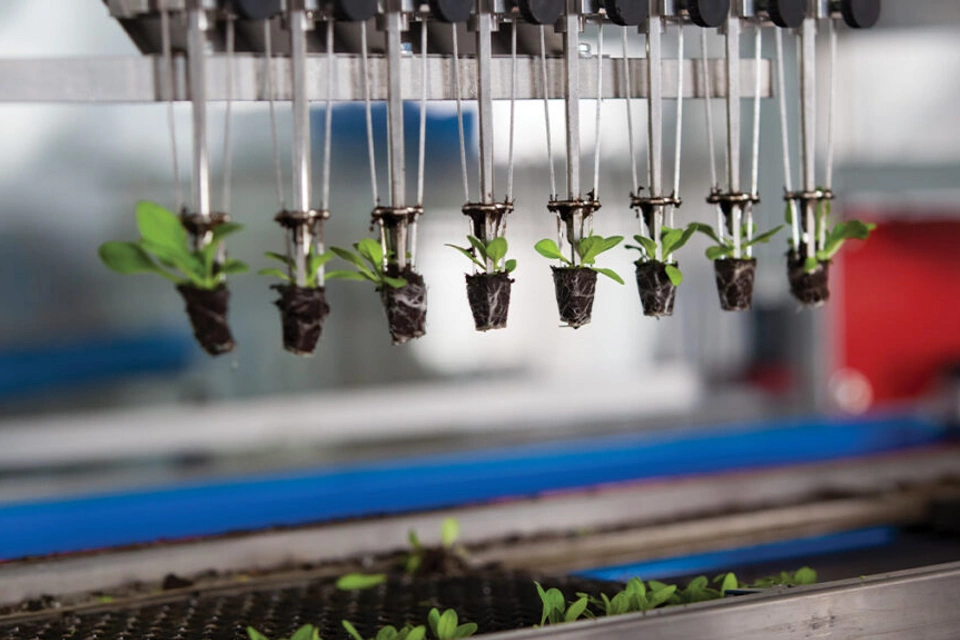 オートメーションが組織のサステナビリティ目標達成を支援する方法