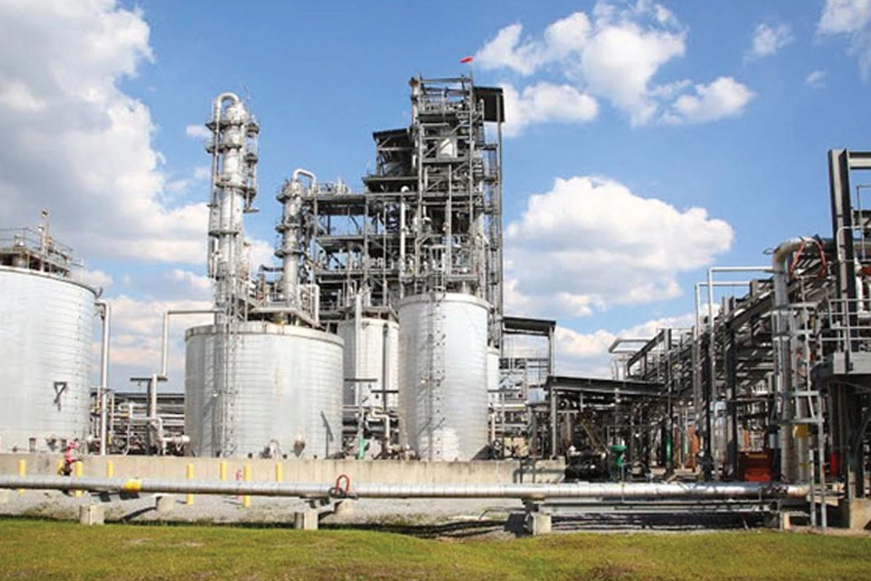 需要を満たすためにパインステロールの生産プロセスを改善