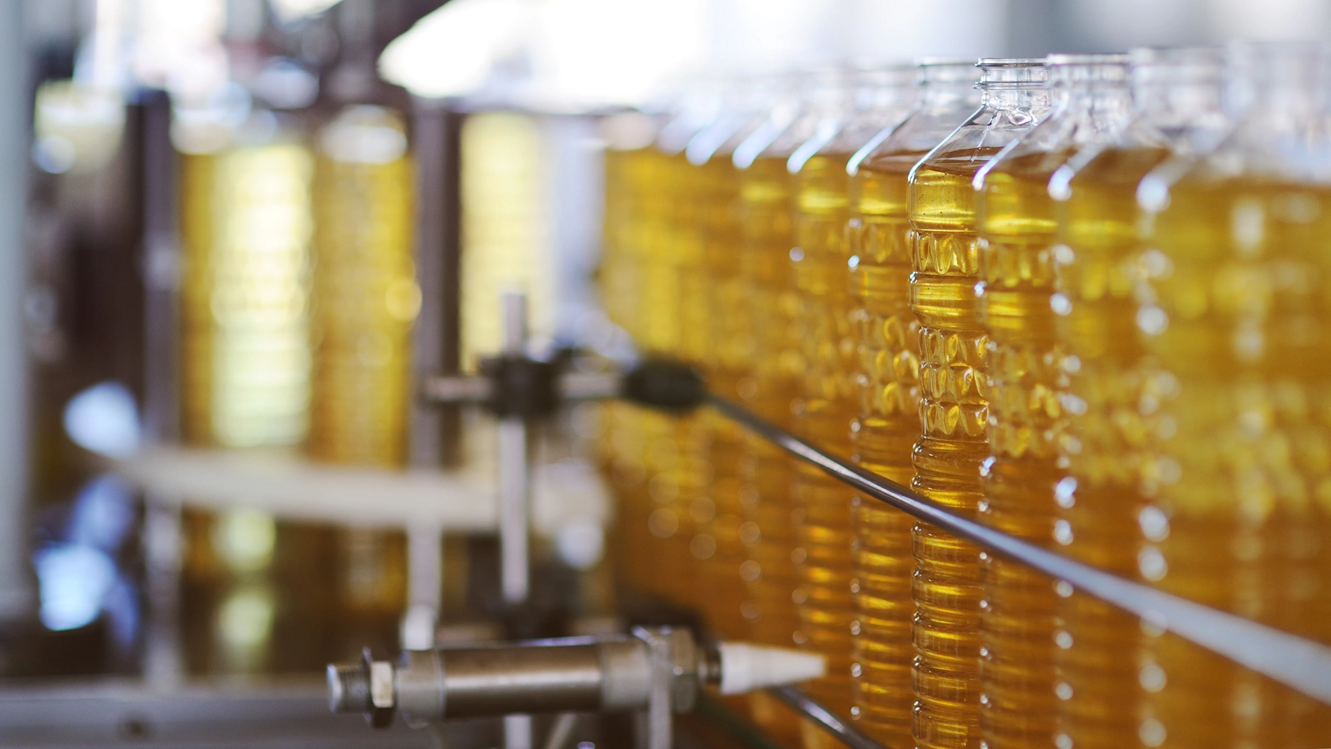 Sunflower oil in the bottle moves along the conveyor line. Production of vegetable refined oil from sunflower seeds