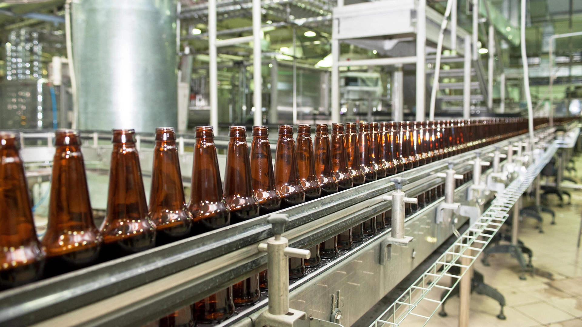 Beer bottles on the conveyor belt 