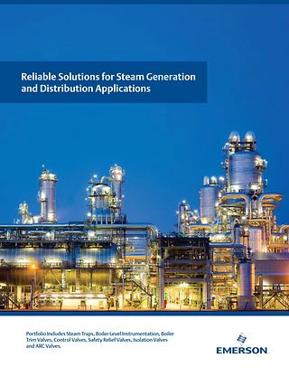 Reliable Solutions for Steam Generation  and Distribution Applications