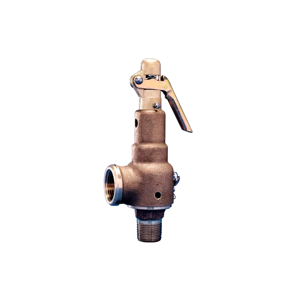 シリーズ 6000 安全バルブ