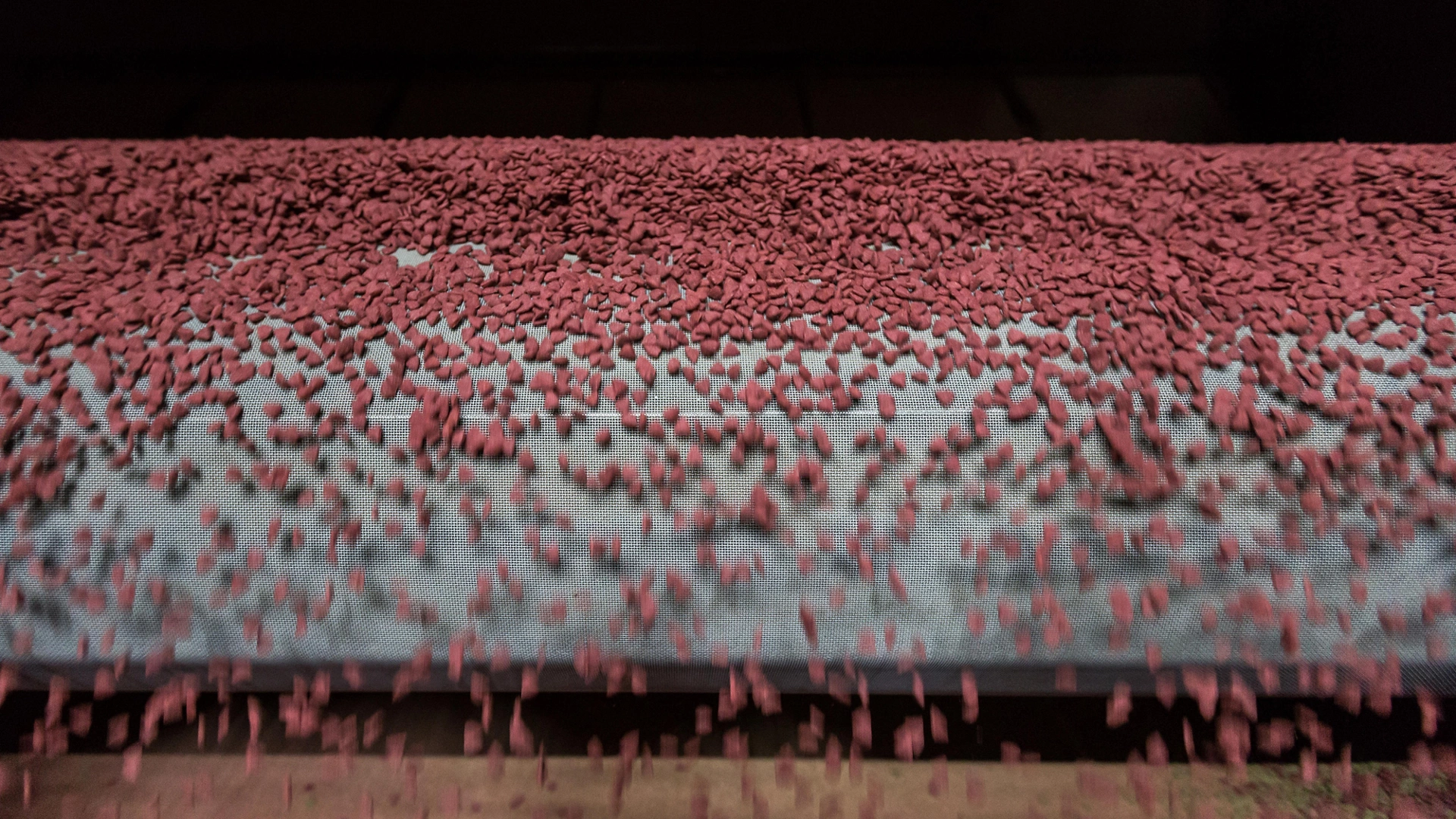 The dry pet food are transported by conveyor belt out of the dryer. The conveyor belt is transportation system. Pet food factory. Pet food industry.