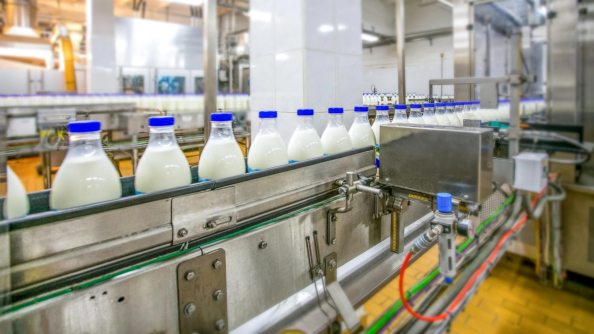 Milk production at factory