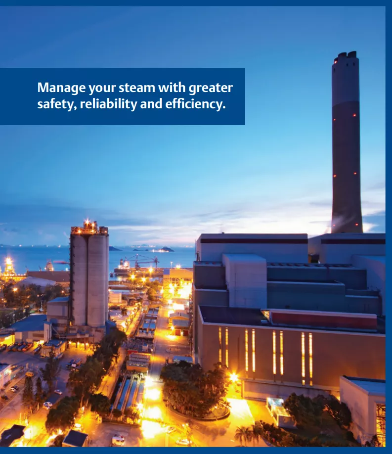 Sempell Steam, Control valves, safety valves, isolation valves