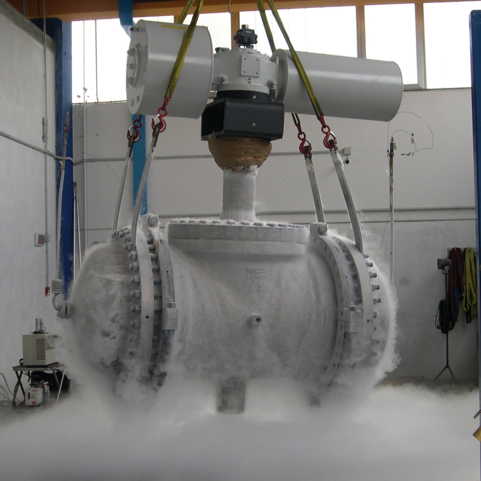 極低温 LNG 用途におけるトップエントリーの事例