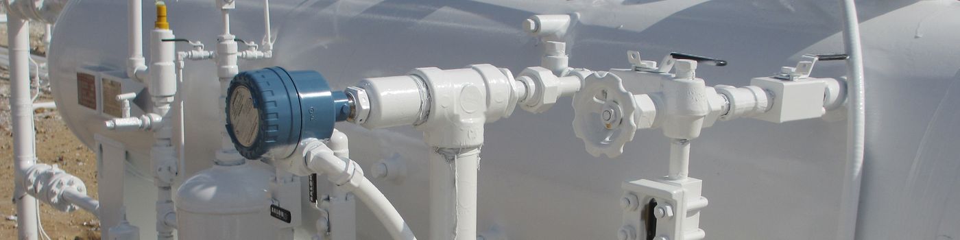 Point Level Detection